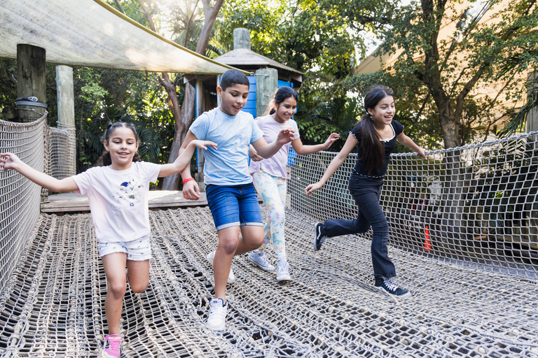 Miami: Dschungelinsel Allgemeiner Eintritt