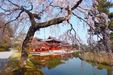 Excursão a Kyoto Uji e Nara com experiência em fazer sushi