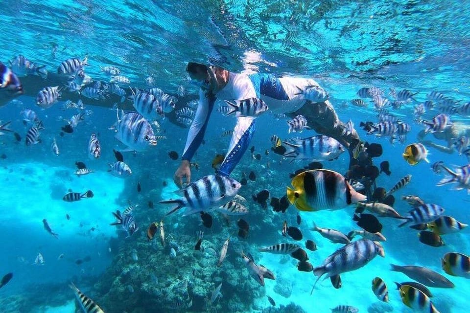 Raiatea : une demi-journée au jardin de corail de Tahaa