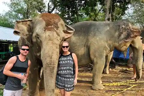 Agra: Tour del Taj Mahal e dell'Elefante SOS di mezza giornata o di un giorno intero