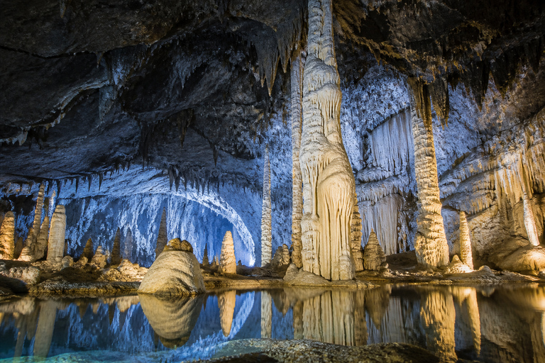 Guizhou: Zhijin Cave Entry Ticket & Sightseeing Shuttle Zhijin Cave: Admission + Shuttle + Safety Support