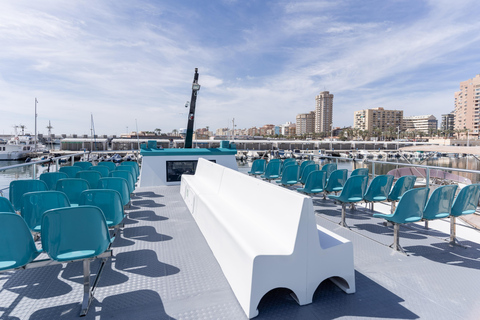 Fuengirola : Tour en catamaran pour repérer les dauphins