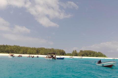 Zanzibar: Snorkeling sull&#039;isola di Mnemba e avventura con i delfini