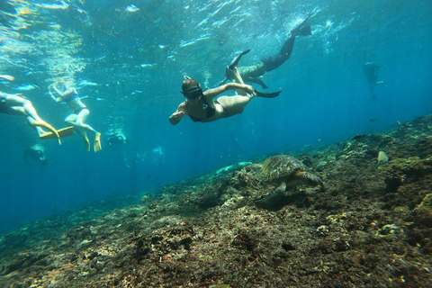 From Bali: Private Boat Nusa Penida 3-Spots Manta Snorkeling Start from Bali with Meeting Point at Sanur Port