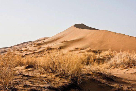 One Day Tour to Altyn-Emel: Singing Dune and Aktau Mountain