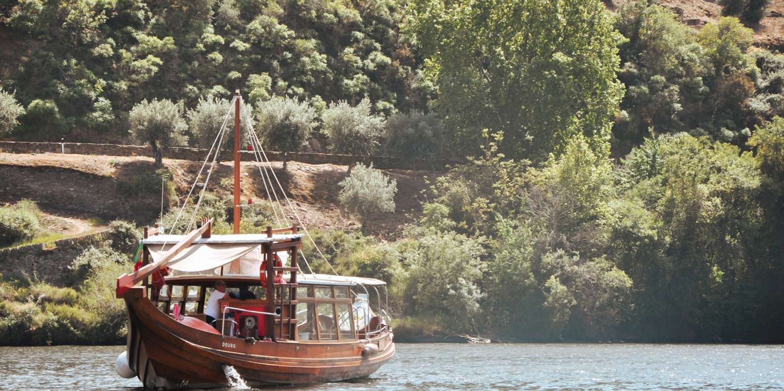 Porto: Douro Valley Tour with Wine Tasting, Cruise and Lunch