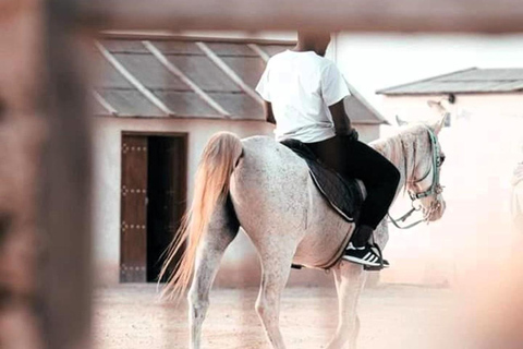 Doha: Horse Riding with Transfers