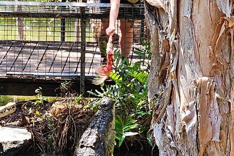 Cairns: Hartley's Crocodile Adventures Visit with Transfer