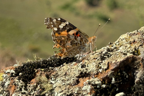 Blue Nile Gorge Wildlife & Cultural Day Trip