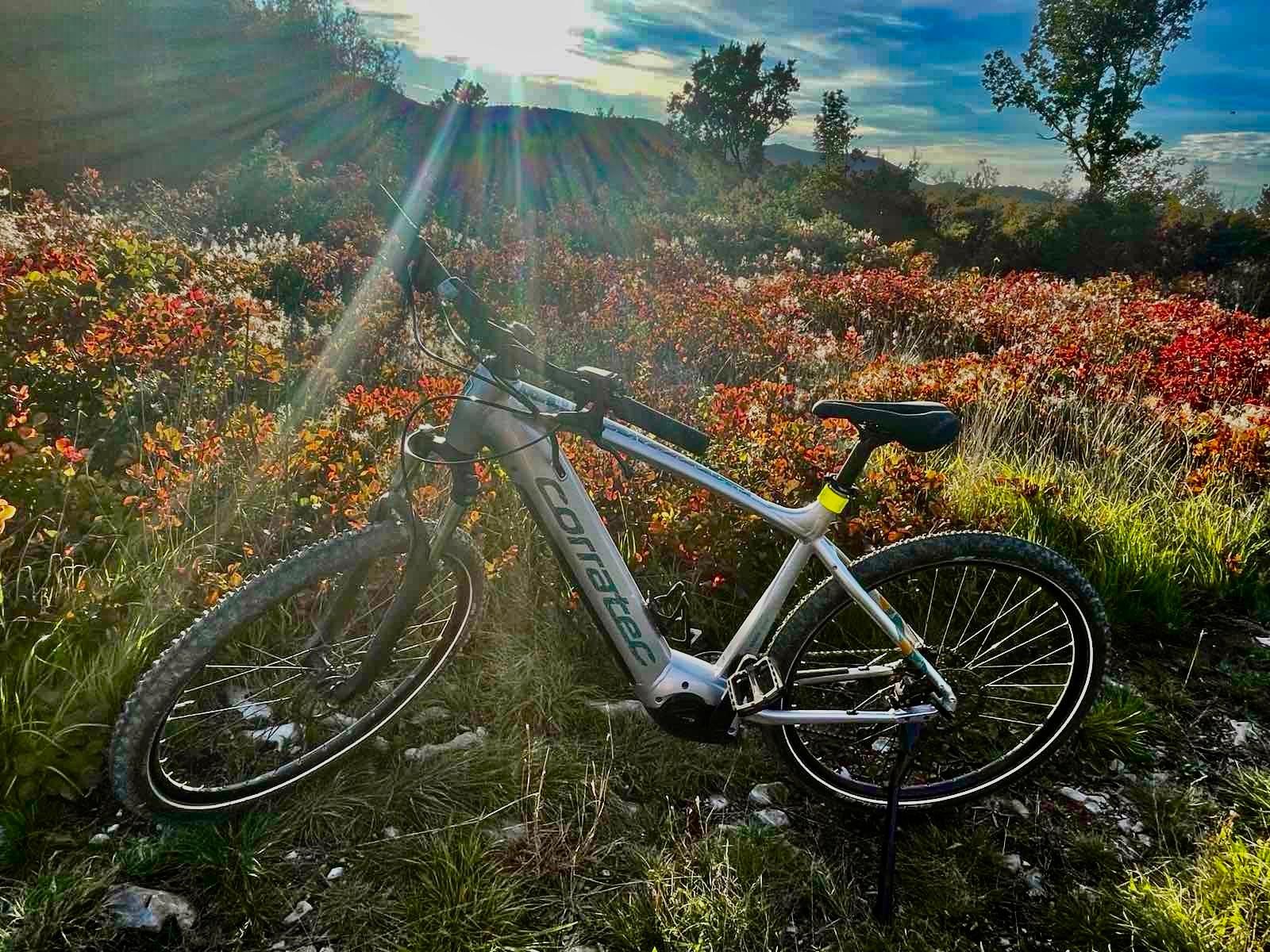 Divača: Höhlen von Škocjan – E-Bike-Verleih ab Divača
