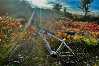 Divača: Škocjan-grotten – e-bike huren vanuit Divača
