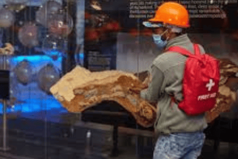 Journey to the Cradle of Humankind