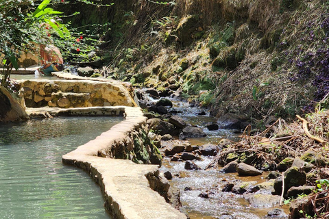 Roseau: Titou Gorge, Hot Spring, Falls & Champagne Reef Tour