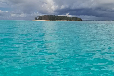 Zanzibar: Mnemba Island & Natural Lagoon Tour Mnemba Island Dolphin Tour & Sea Tortoise Aquarium Tour