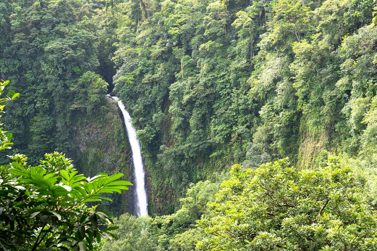 COSTA RICA:UPPTÄCK COSTARICAS VILDA DJUR-STRAND &amp; SKOG 2VECKOR