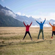 From Te Anau: Milford Sound Coach, Cruise, and Walks