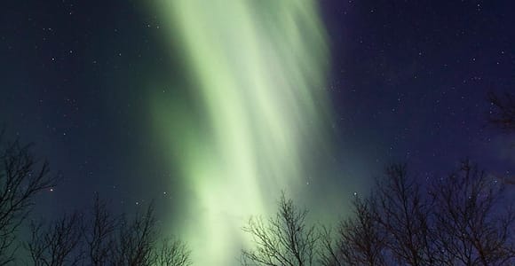 Kiruna: Northern Light Short Husky Tour with Coffee