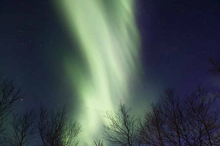 Kiruna: Nordlicht Short Husky Tour mit Kaffee. Foto: GetYourGuide