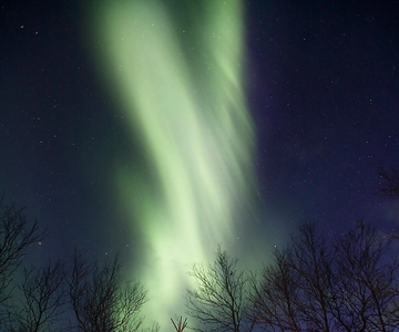 Kiruna: Aurora Boreal Excursión corta con huskies y café