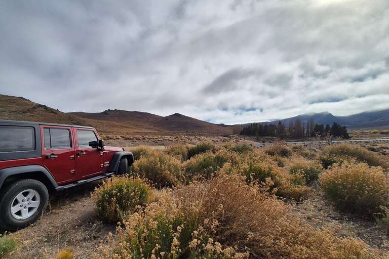 Steppe Experience: Quad Bike Adventure