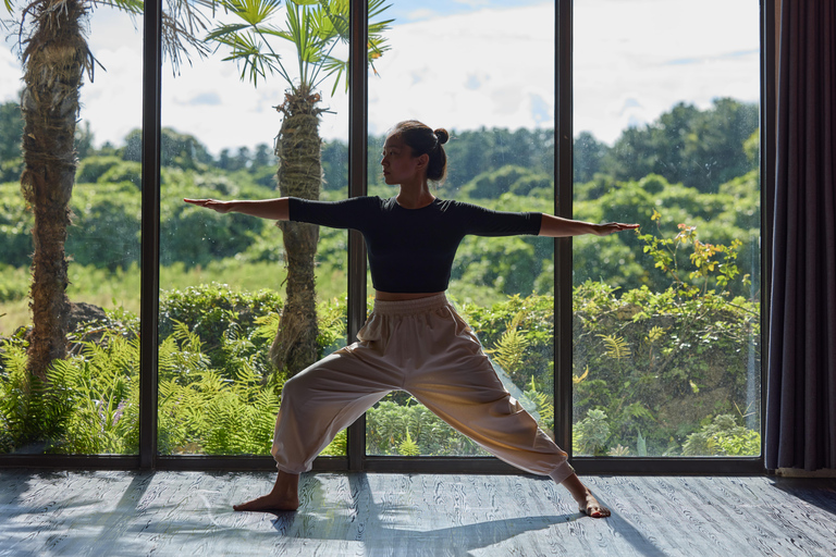 Jeju: Yoga & Meditation Classes at Chuidasun Resort 7:00 AM Meditation