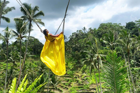 ubud trip monkey forest sanctuary