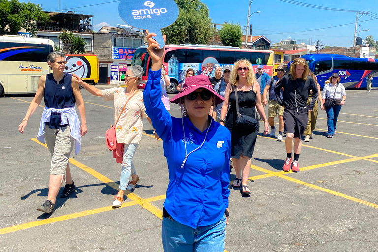 Mexico-Stad: Coyoacan, Xochimilco &amp; UNAM Dagvullende tour