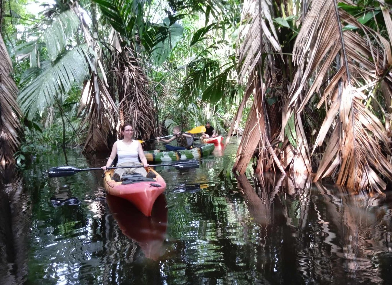 Tortuguero: Kanotur i Tortuguero Nationalpark