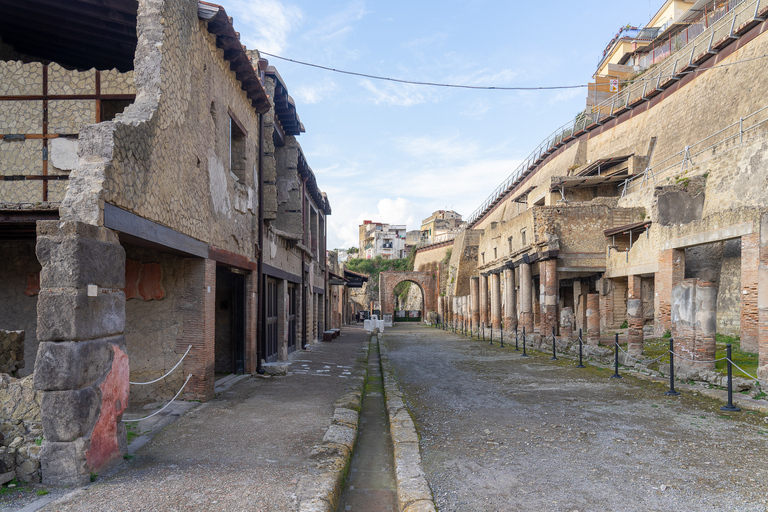 Naples : visite coupe-file de Herculanum avec un archéologueHerculanum : billet coupe-file avec guide en anglais