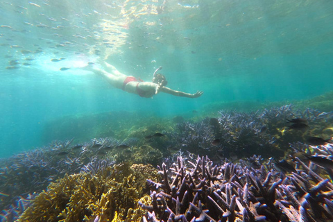 Excursion exclusive de pêche et de plongée en apnée à Lombok à travers 4 gilis