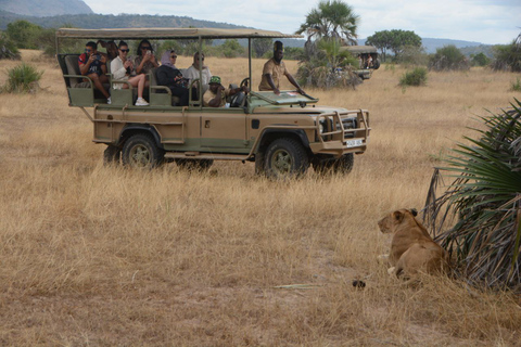 Pacote de voo de 4 dias de Zanzibar para Nyerere NP (Selous GR)