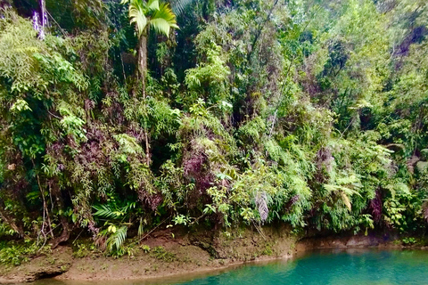 From Cali to the rainforest: Discover San Cipriano – 2-day adventure tour From Cali to the rainforest: Discover San Cipriano – 2-day adventure trip