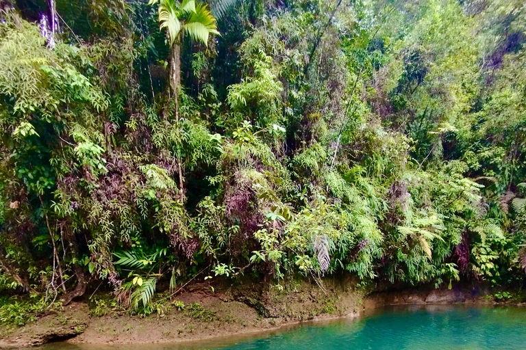 From Cali to the rainforest: Discover San Cipriano – 2-day adventure tour From Cali to the rainforest: Discover San Cipriano – 2-day adventure trip