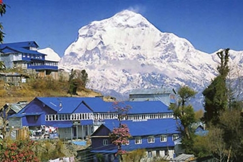 Van Pokhara: 4-daagse Poon Hill privétrektocht
