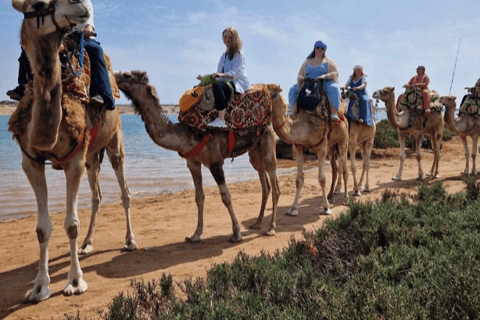Agadir Camel Ride &amp; Flamingo River + Souk &amp; Moroccan Tea
