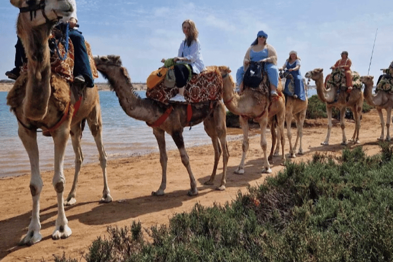 Agadir Camel Ride &amp; Flamingo River + Souk &amp; Moroccan Tea