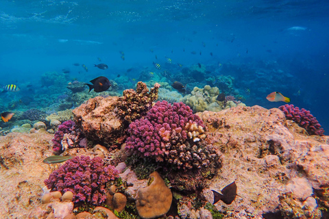 Bali: Blue Lagoon Snorkeling & Hidden Beach Escape Private – With Hotel Transfer