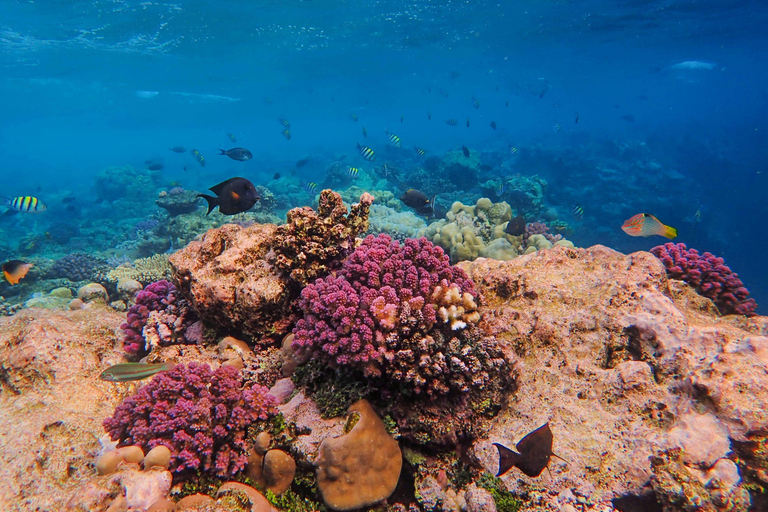 Bali: Blue Lagoon Snorkeling & Hidden Beach Escape Private – With Hotel Transfer