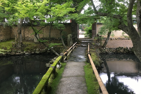 Nara : visite d&#039;une demi-journée au patrimoine de l&#039;UNESCO et visite à pied de la culture locale