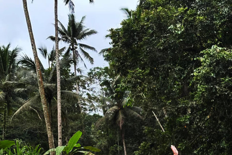 Ubud: Hidden Canyon River Tubing & Jungle Adventure