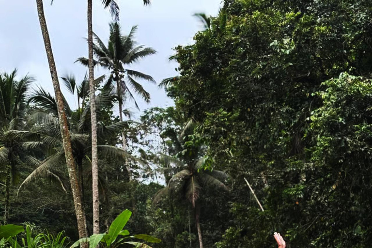 Ubud: Hidden Canyon River Tubing & Jungle Adventure