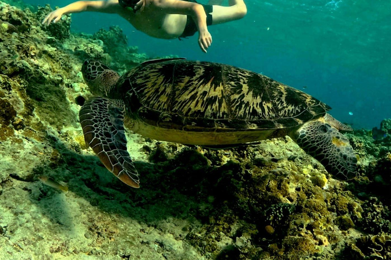Gili Trawangan: 3-Island Snorkeling Tour with GoPro Photos