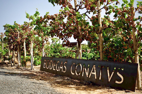 Fuerteventura: Wine Tasting and El Cotillo Afternoon Escape