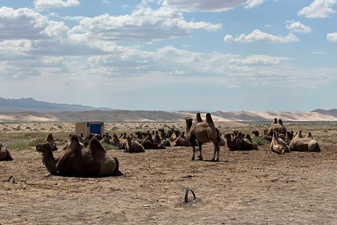 From Ulaanbaatar: 3-Day Gobi Desert Tour with Camel Ride