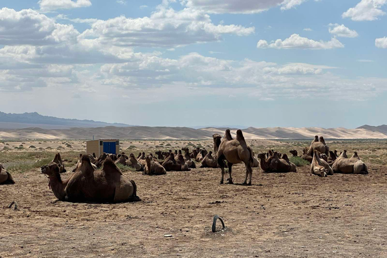 From Ulaanbaatar: 3-Day Gobi Desert Tour with Camel Ride