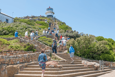 Le Cap : la montagne de la Table, les pingouins et Bo-Kaap Private ...