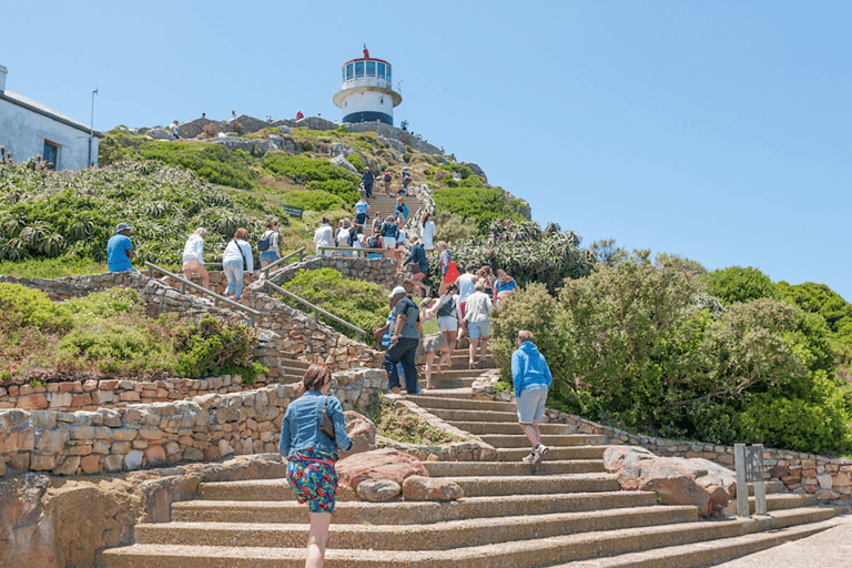 Kaapstad: Tafelberg, pinguïns en Bo-Kaap privé ...