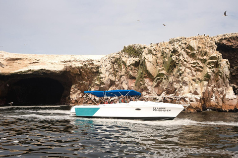 GRUPA PEŁEN DZIEŃ Paracas (Ballestas) + Ica + Huacachina (Oaza)