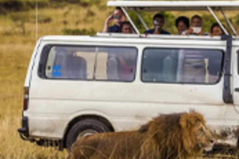 6 dias de Safari no Lago e no mato - Lago Naivasha e Masai Mara