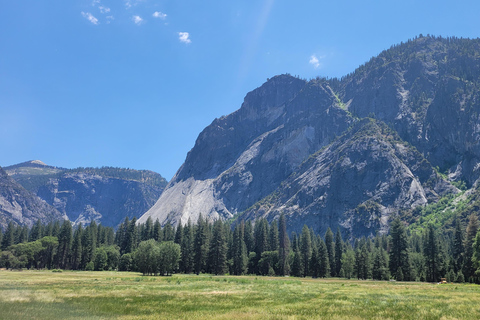 Los Angeles : visite des parcs nationaux de Yosemite et de Sequoia